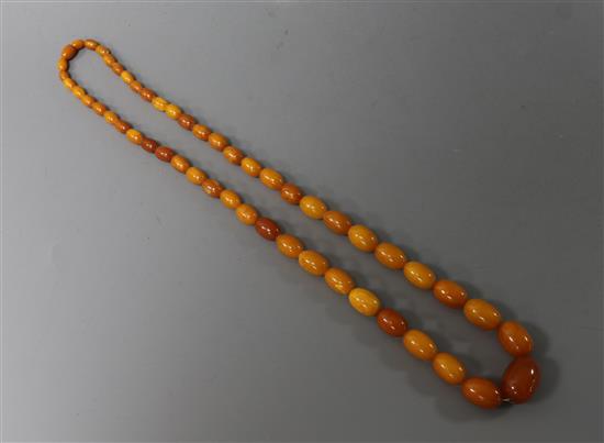 A single strand graduated amber bead necklace, gross weight 34 grams, 60cm.
